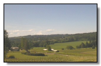 East Willamette Valley countryside